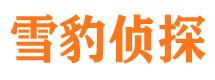 内江市婚姻调查